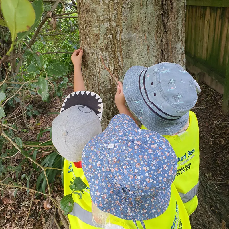Natural Steps Albany enrolment