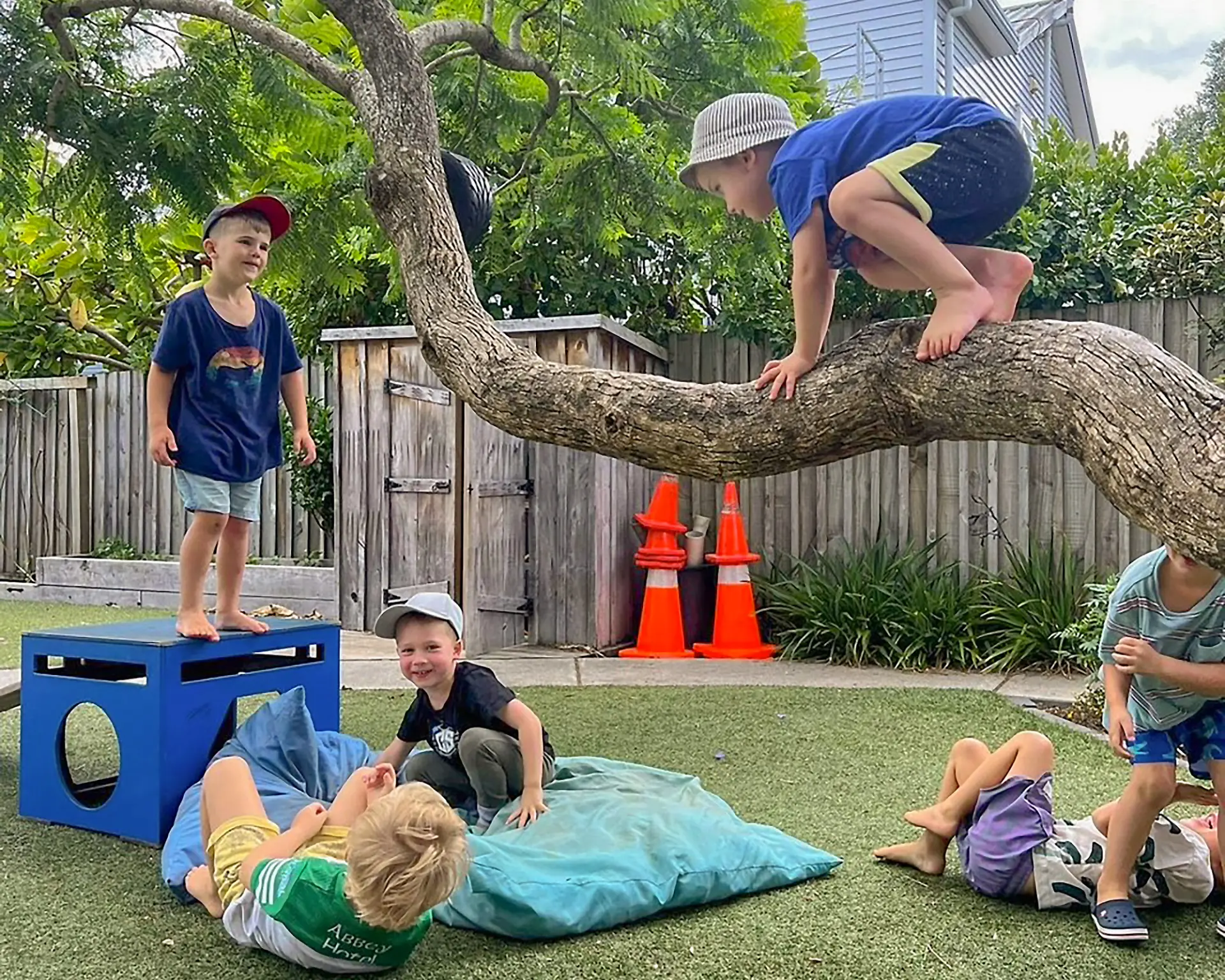 boys playing outdoor climbing tree at Preeschool kids
