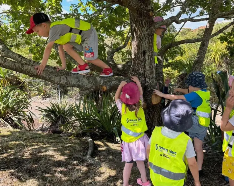 outdoor play on the tree