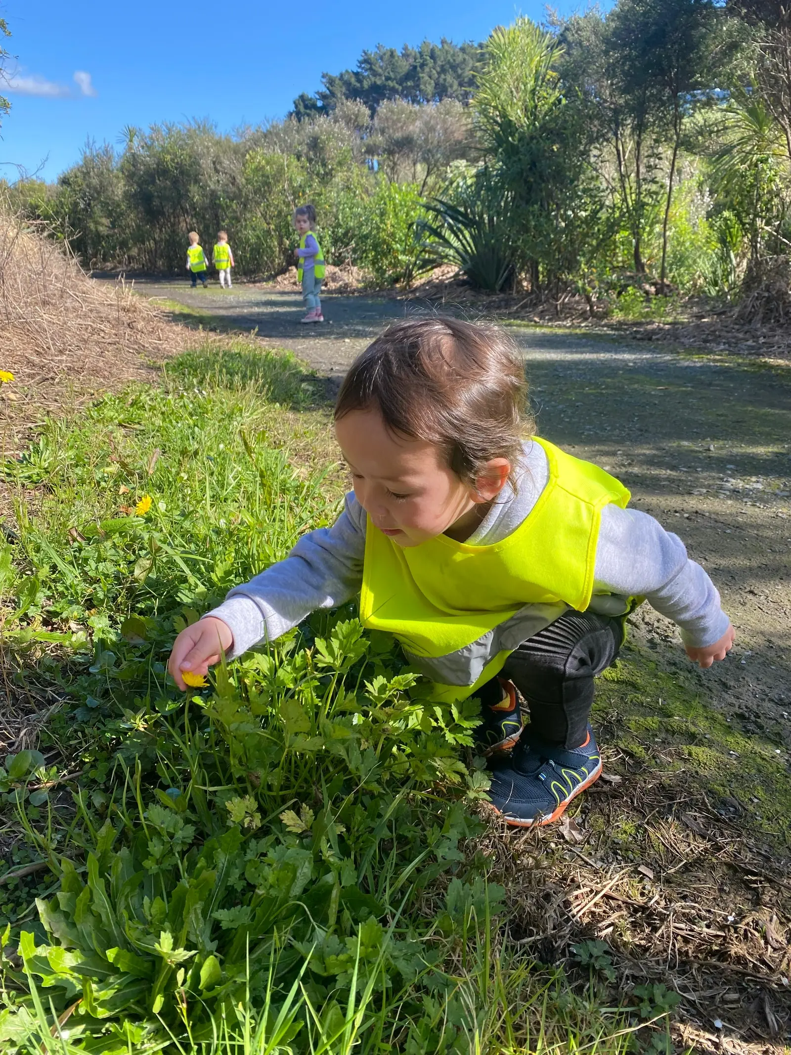 toddler at excursion playing with grass