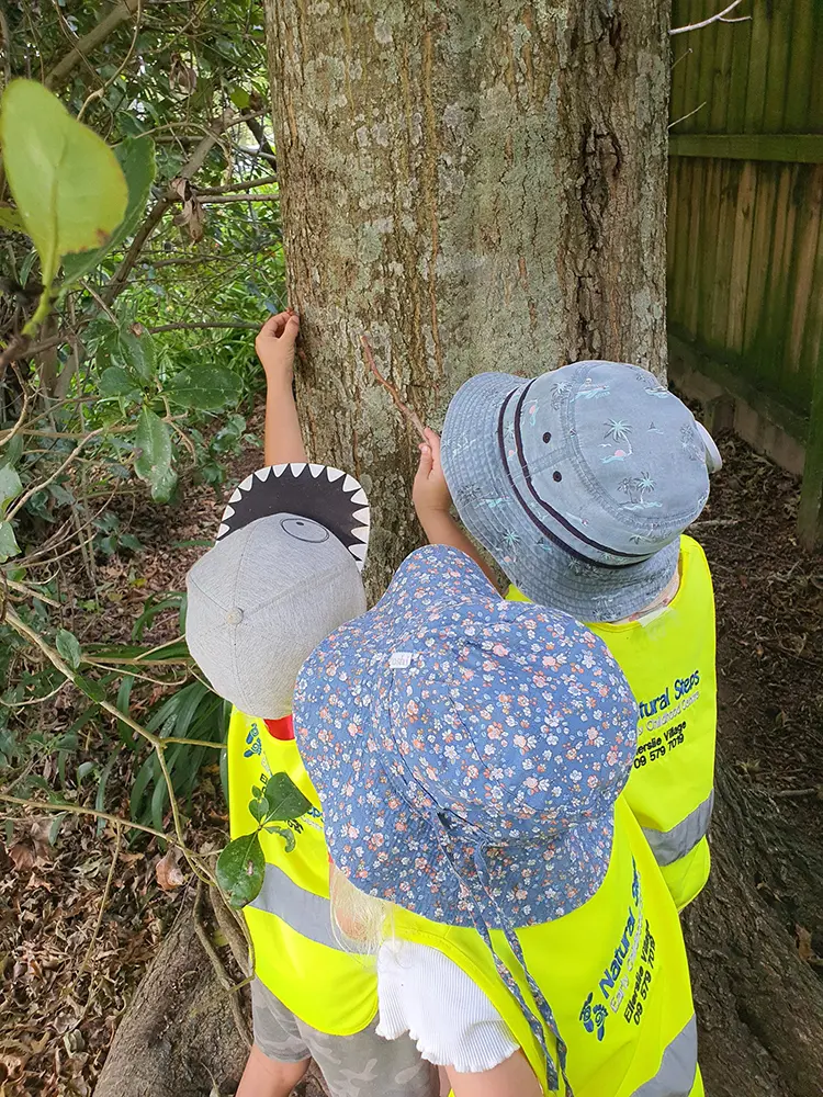 boys exploring trees at Preschool