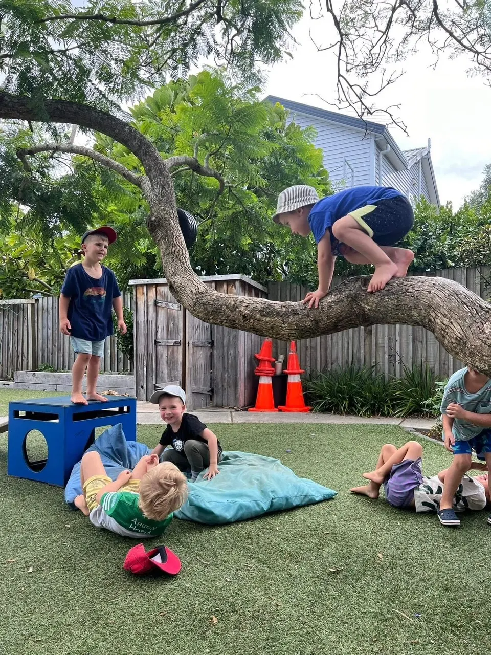 boys playing outdoor climbing tree at Preeschool room
