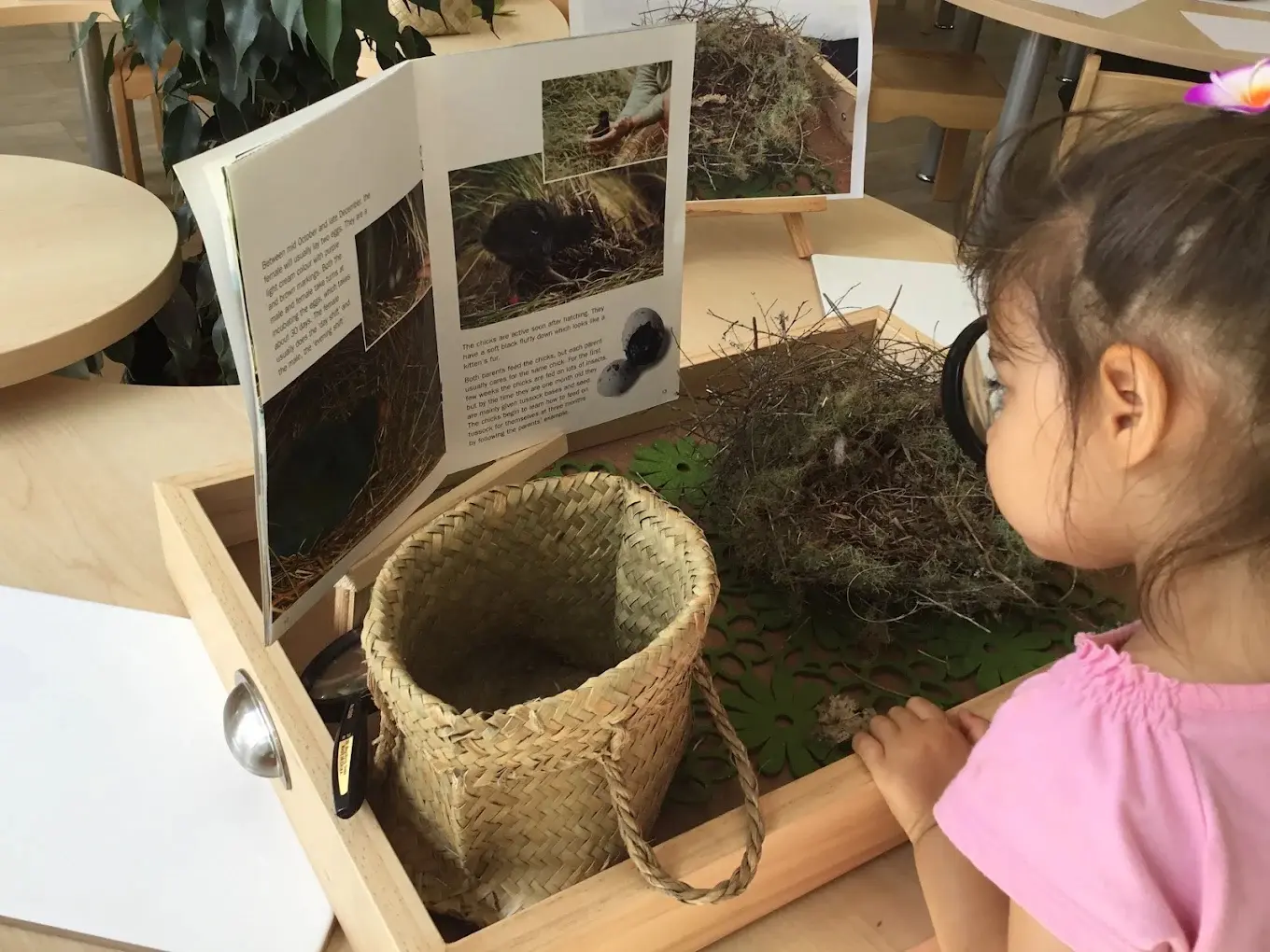 whitford centre child reading book