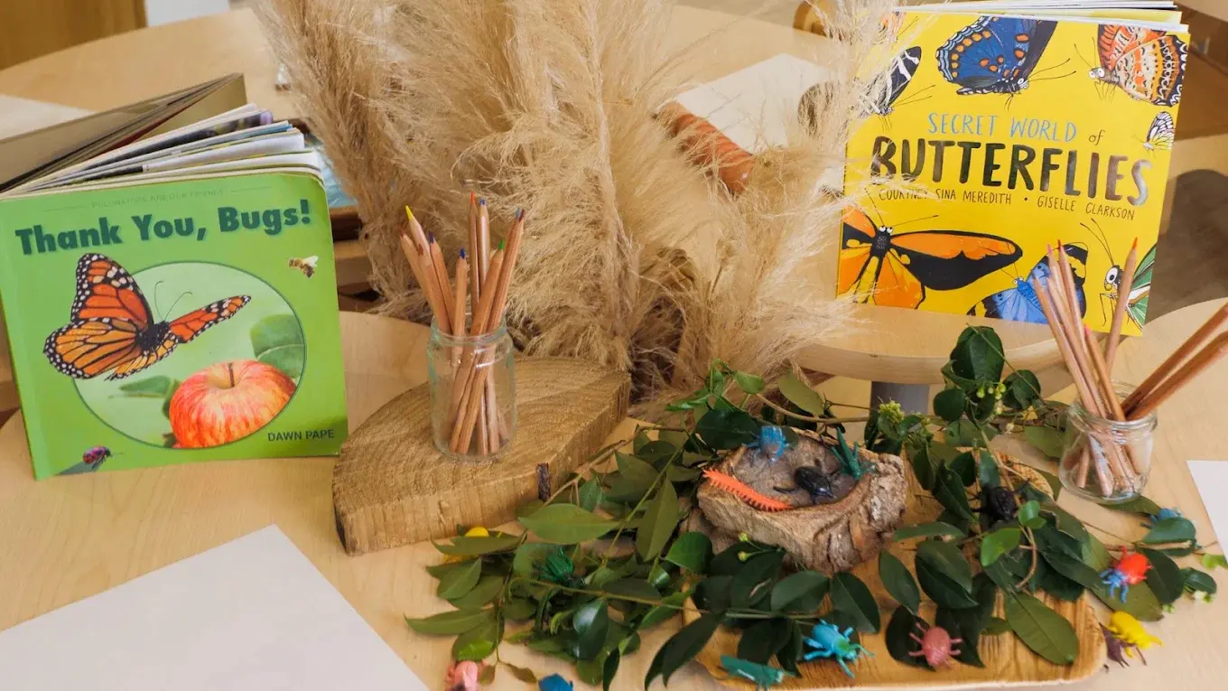 whitford centre leaves and bug toys